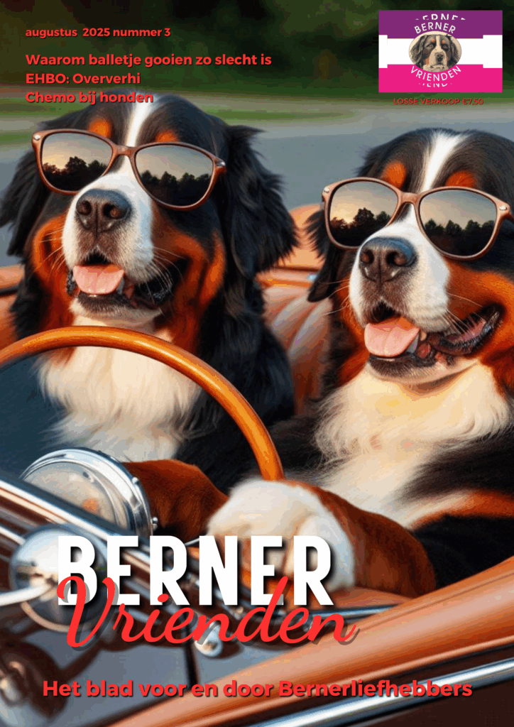 Berner vrienden 2025-8 COVER