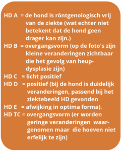 HD en ED bij Berners 1