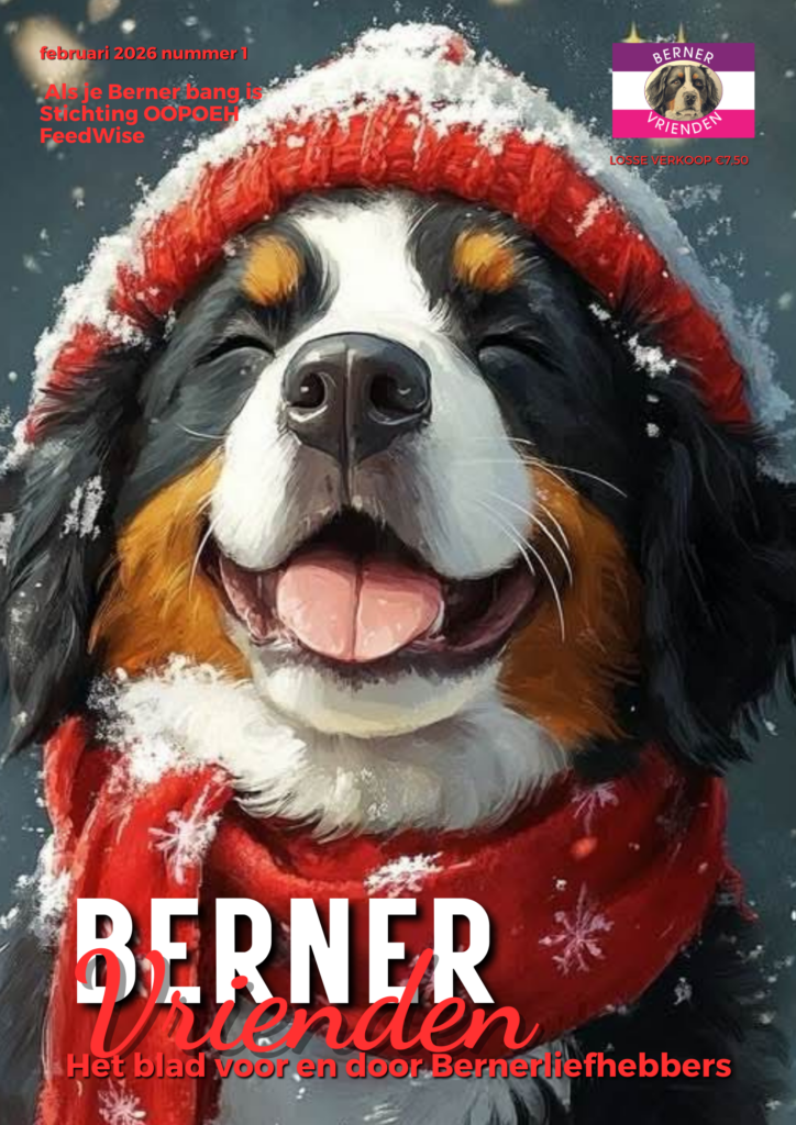 Cover Bernervrienden feb2026